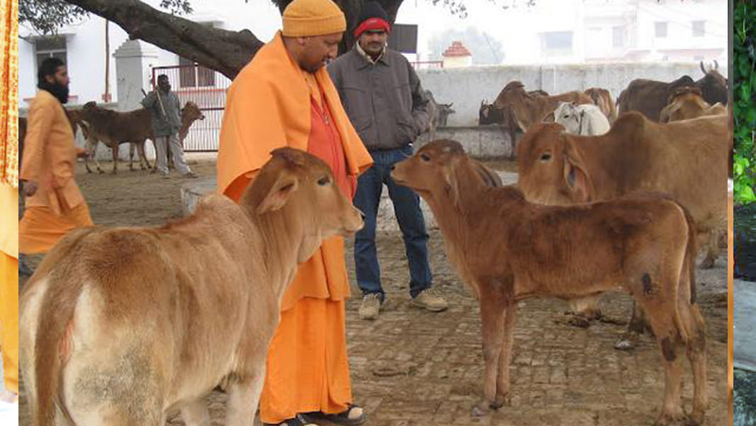 Chief minister yogi adityanath must doing this five work at every gorakhpur visit