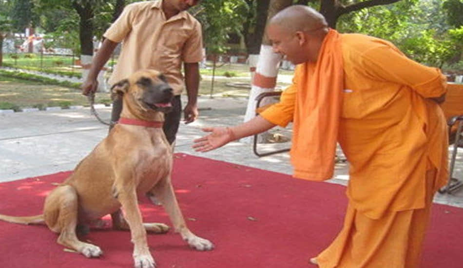 this is the new cm of up daily routine