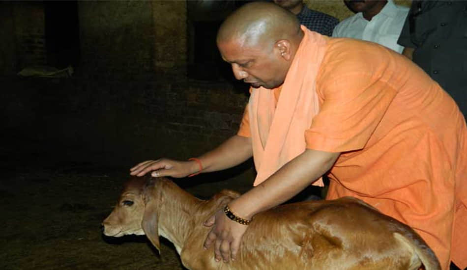 this is the new cm of up daily routine