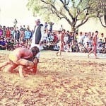निरपुड़ा गांव में आयोजित दंगल में दमखम दिखाते पहलवान