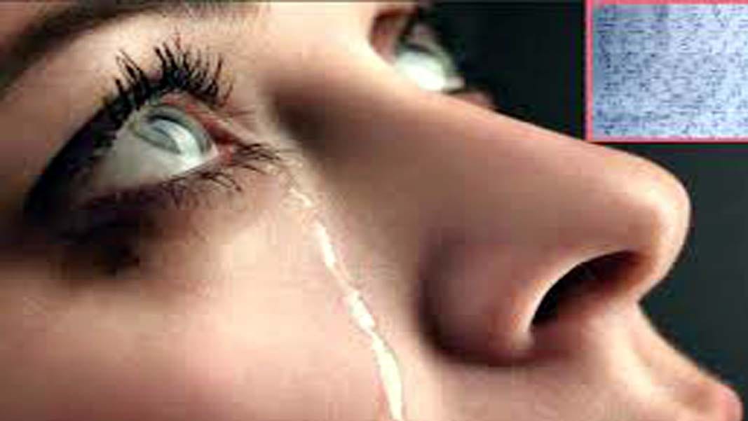 suicide note  was paste on wall and girl missing