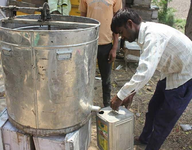 watch honey village in photos, whose farmers earn millions in one month by business of bees honey