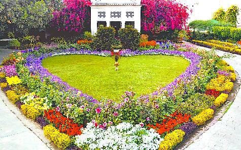 Filled with flowers by the reward of the faces of the Malis