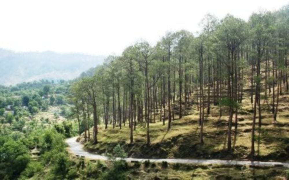 Kandi road will be declar the National highway