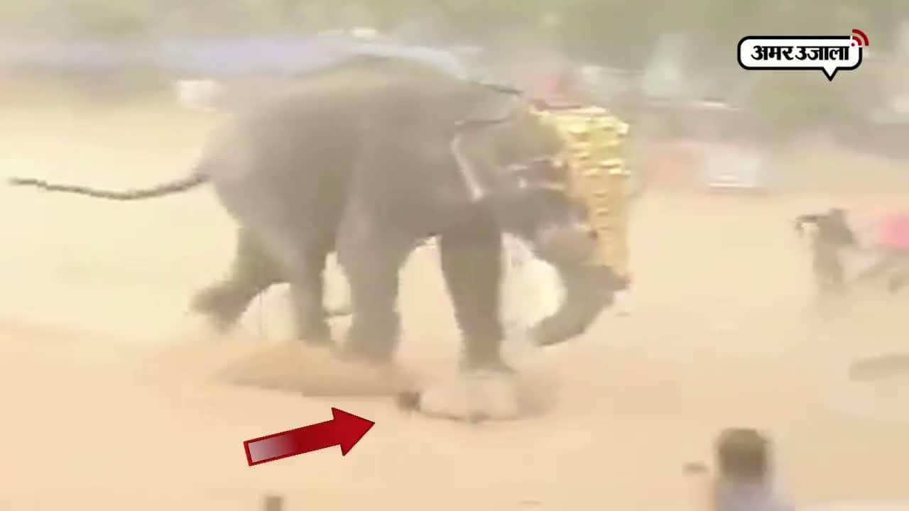 वायरल वीडियो