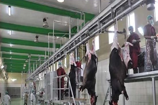 How do I know mechanical slaughterhouse, view photos