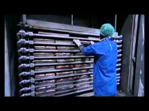 How do I know mechanical slaughterhouse, view photos
