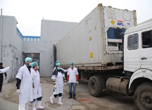 How do I know mechanical slaughterhouse, view photos