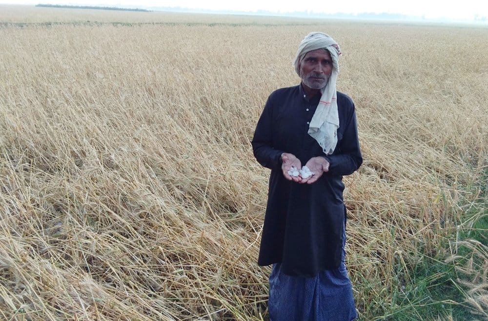 Change weather patterns, damage to crops from hailstorm