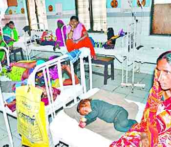 Four children,s die from colra and fever
