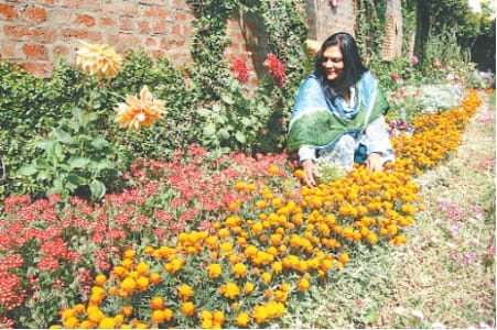 garderning craze in female