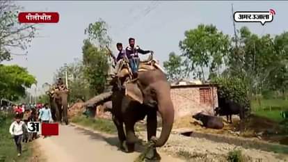 ELEPHANT STRAY IN PILIBHIT AGAIN, IN PROTECTION OF VILLAGERS