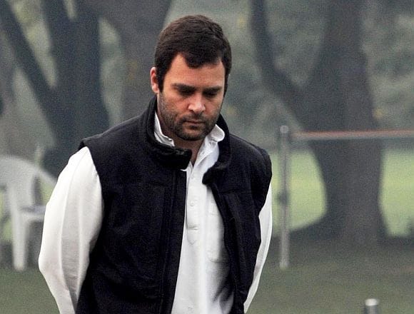 Rahul Gandhi name proposed to Guinness Book for losing 27 elections