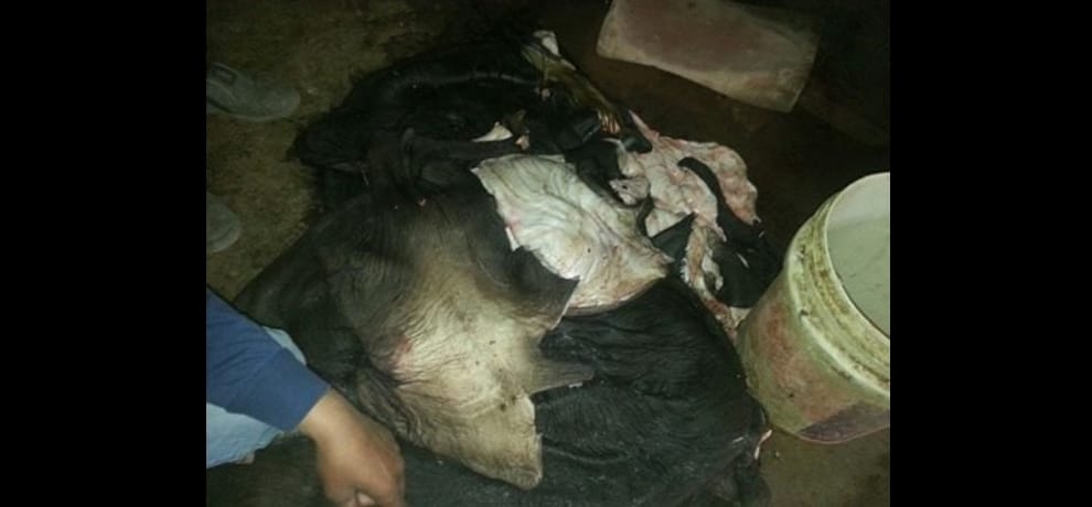 slaughter house runing in home