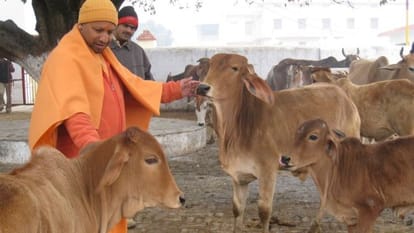 Does Yogi Adityanath need image makeover?