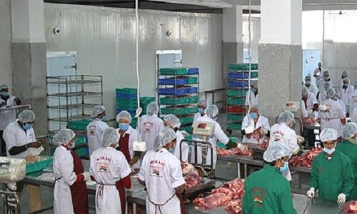 Know why the officer arrived in a bullet proof jacket to raid at meat plants