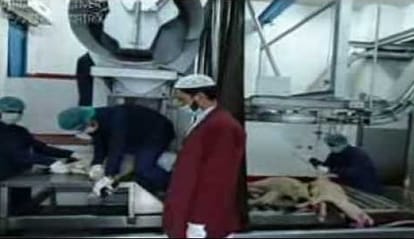 Eight slaughterhouses of Meerut were cut daily, 4000 animals, all done sealed