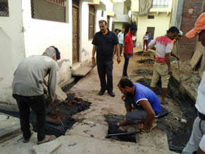 palika clean campaign