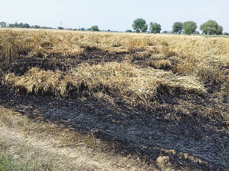 Drop wire on the farm, water harvesting ash