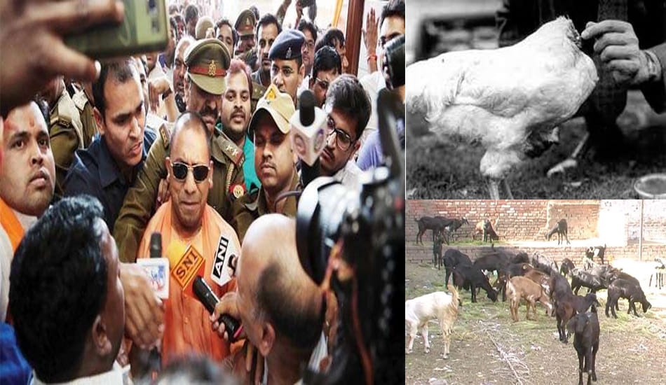 chicken and goat meat down due to slaughter houses ban 