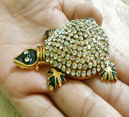 vaastu tips for tortoise