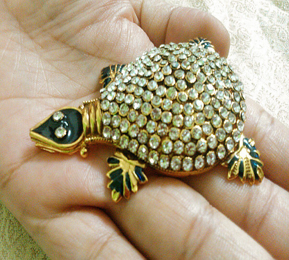 vaastu tips for tortoise