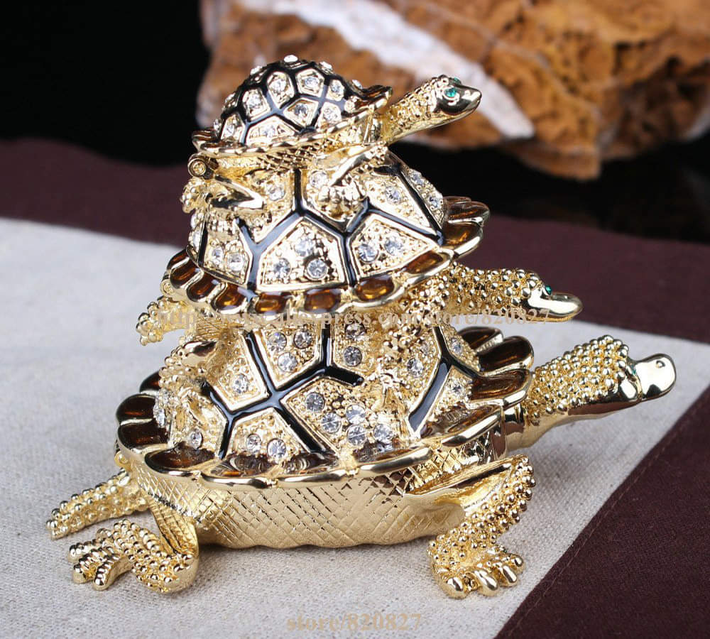 vaastu tips for tortoise