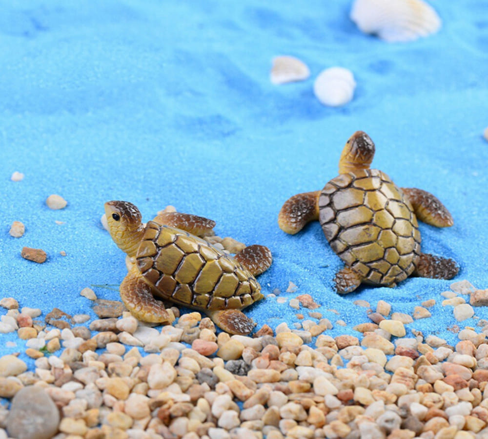 vaastu tips for tortoise