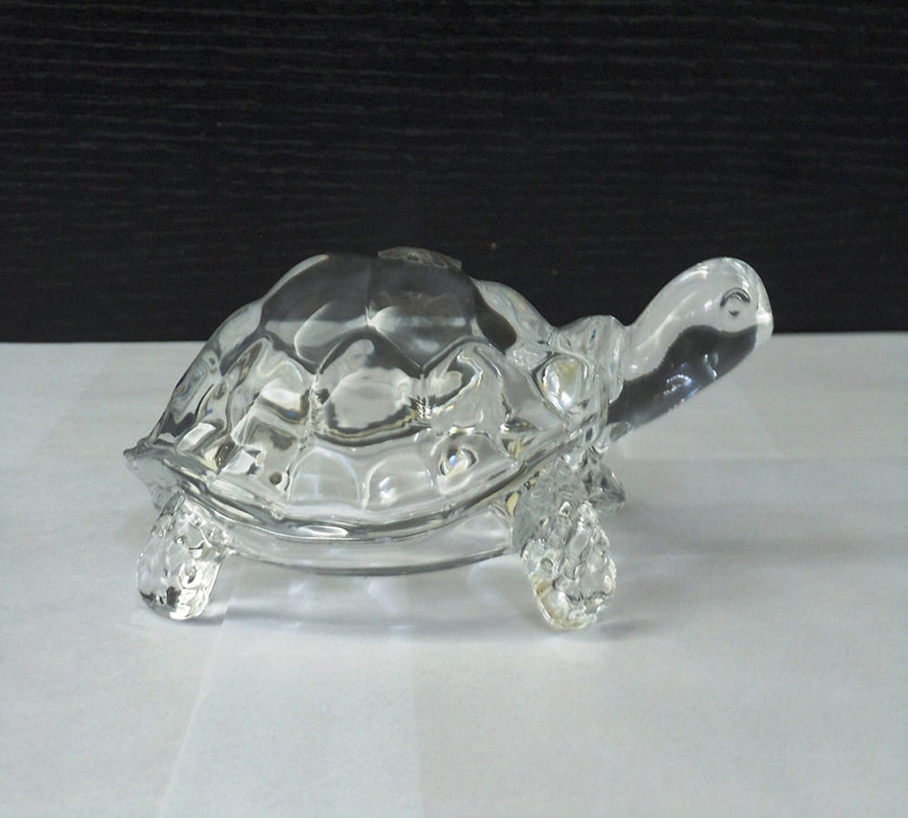 vaastu tips for tortoise
