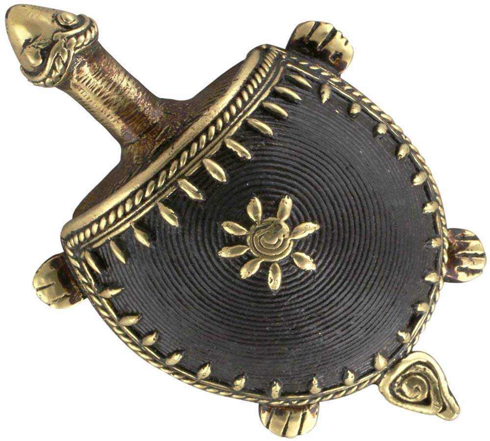 vaastu tips for tortoise