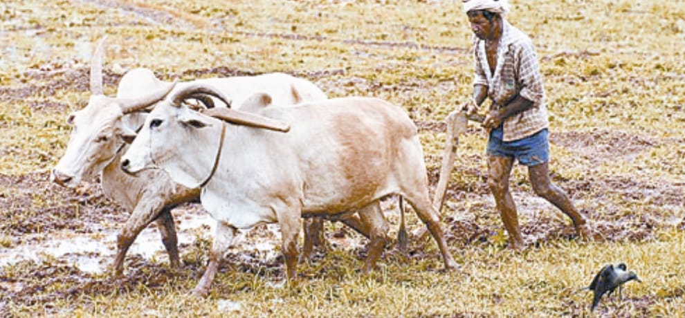 GST Effects on Agriculture and Farmers.