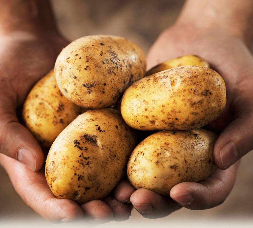 make this special potato recipe this navratri 