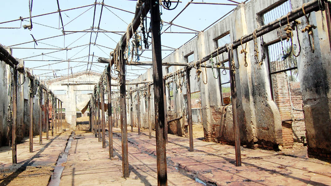 immediate action on slaughterhouses