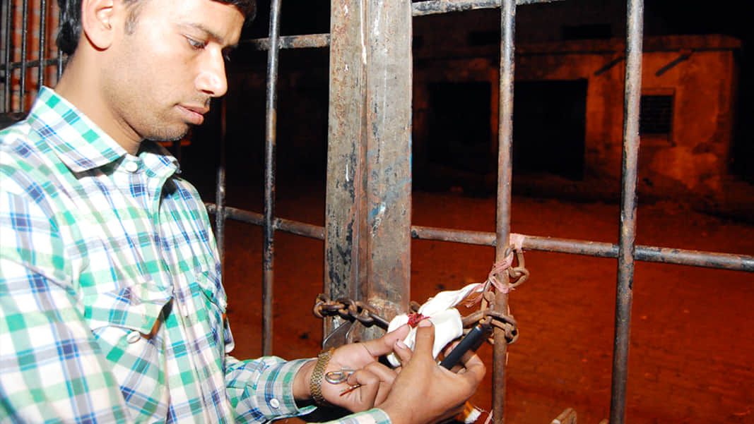immediate action on slaughterhouses