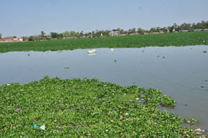  Lakshmi tal 'Water Dead'