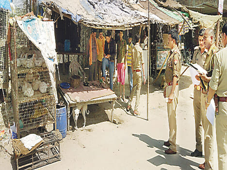 meat shops rinning without license