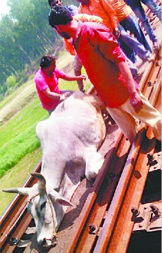 The trunk trapped on the track, one hour interrupted railroad