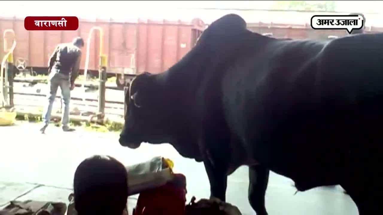 वाराणसी