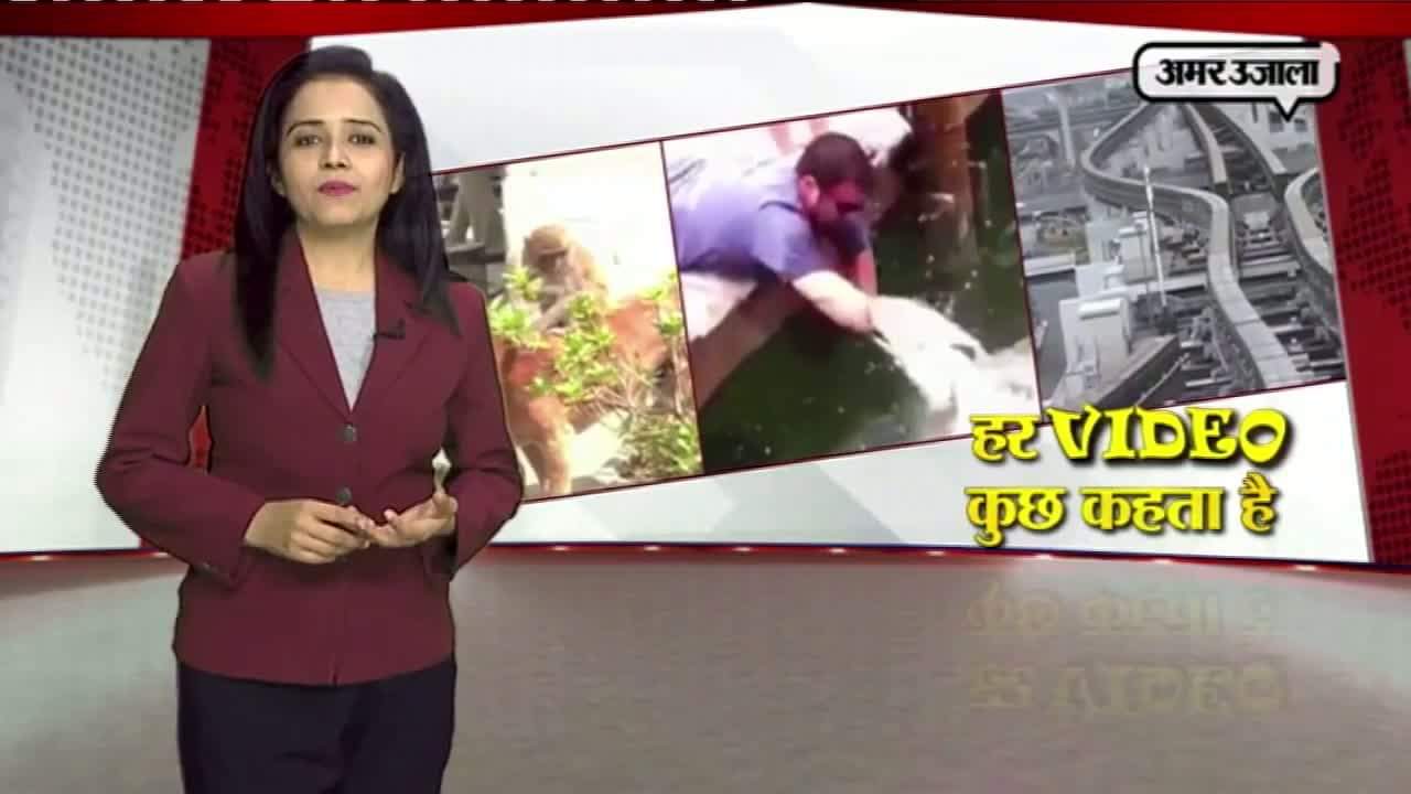 स्पेशल वीडियोज, वायरल वीडियो