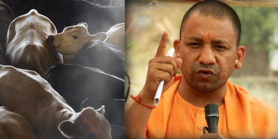 Yogi government is different from former Akhilesh government