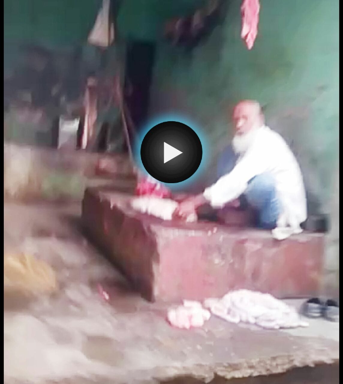 Animals are still being cut open in the open, thousands of animals are cut everyday