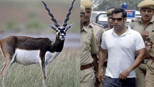 new judge will hear the blackbuck poaching case in jodhpur