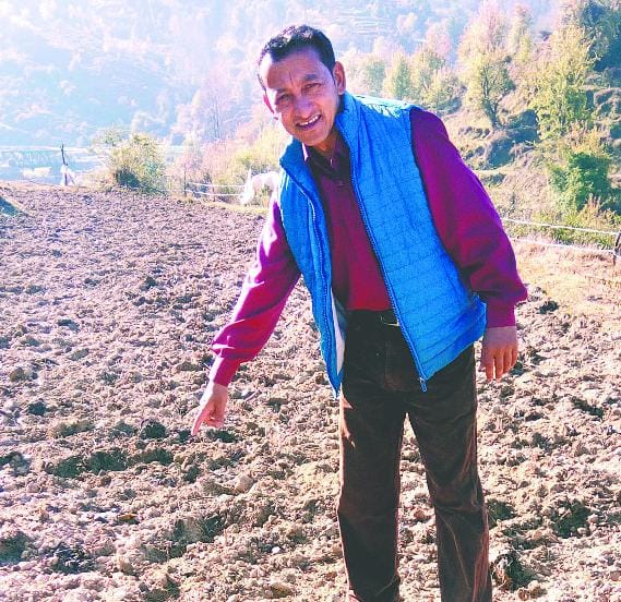 Cover the wild pigs in Badola