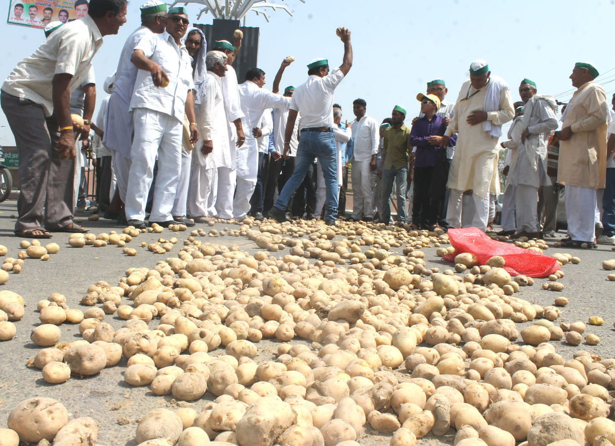 Potato prices, farmers landed on the roads