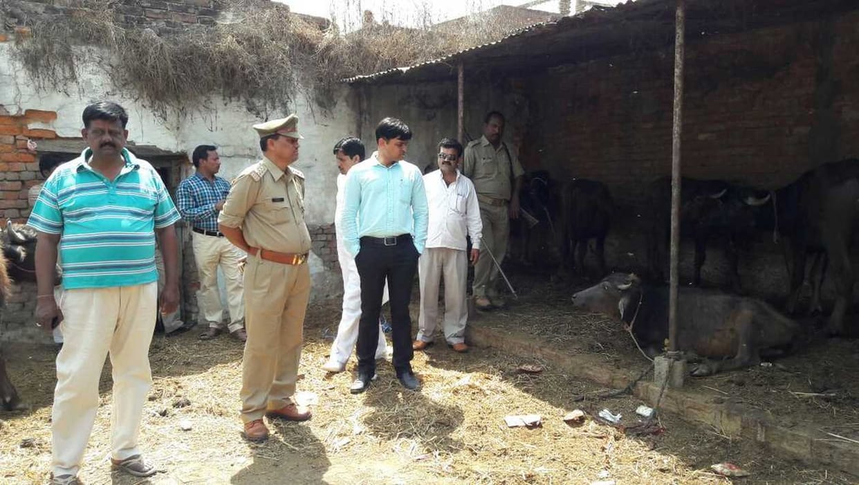 Raid on five slaughter houses
