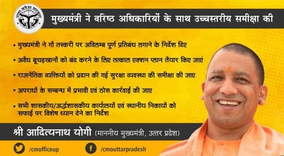 Yogi style looks like handling power