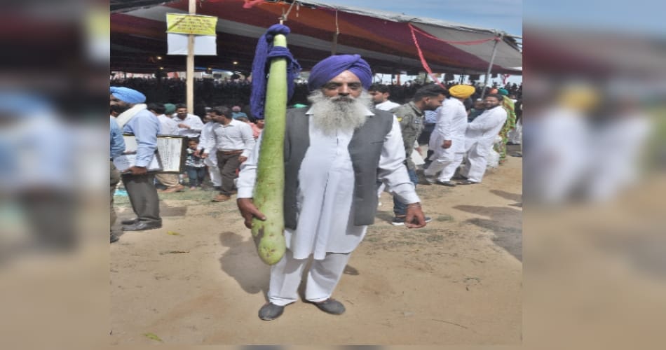 5 fit lauki in ludhiana