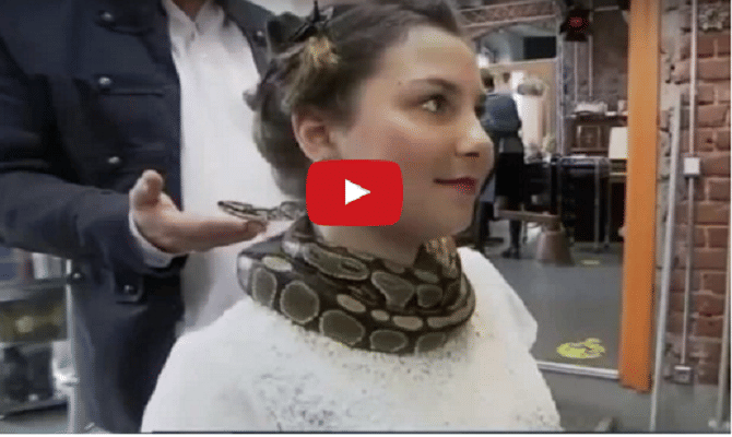python gives massage in German.