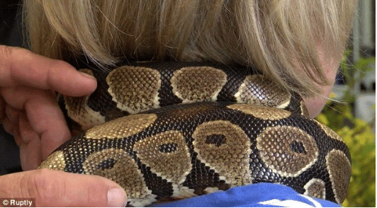 python gives massage in German.