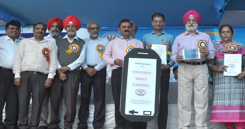 5 fit lauki in ludhiana